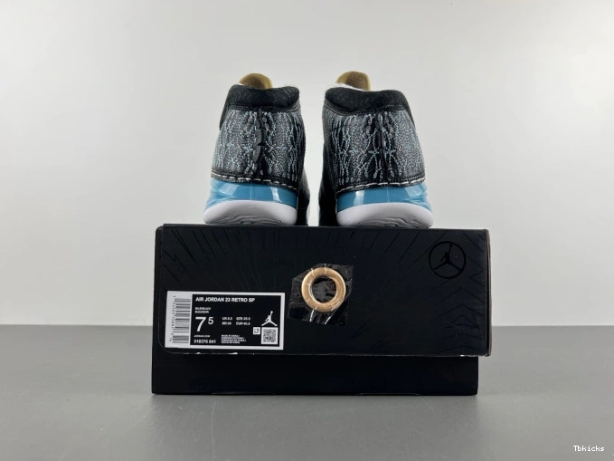 Cheap TBK 23 UNC Jordan 318376-041 0825